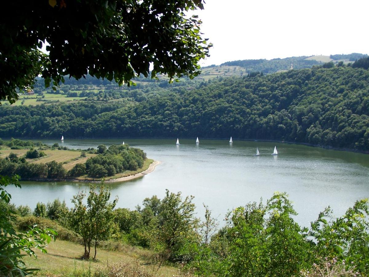 O Fil De L'Eau - Gite En Bord De Lac Saint-Jean-Saint-Maurice-sur-Loire Exteriör bild