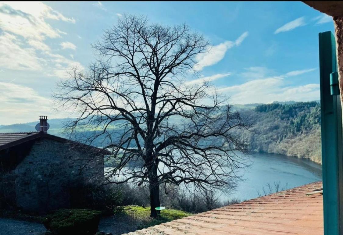 O Fil De L'Eau - Gite En Bord De Lac Saint-Jean-Saint-Maurice-sur-Loire Exteriör bild